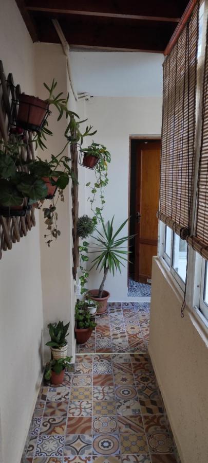 Atico El Marquito Apartment Santa Cruz de la Palma  Exterior photo